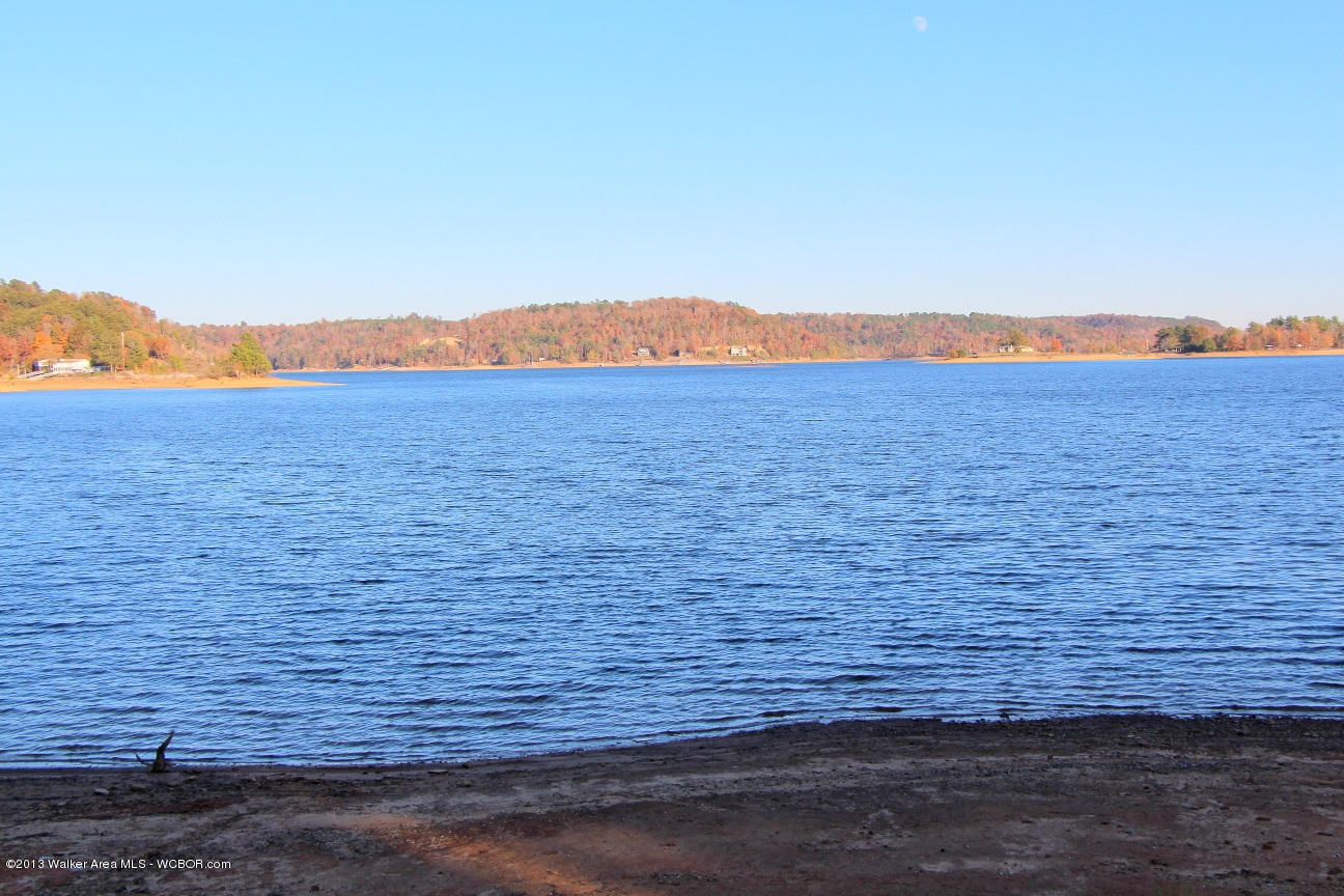 875 County Road Crane Hill, AL 35053 - Photo 3 of 4 Gallery Image 3
