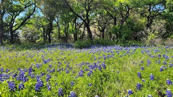 $1,290,000 | 16873 Highway 6, Valley Mills, TX 76689