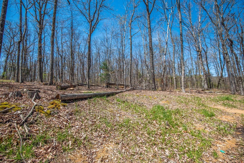 721 Lowes Gap Road Spring City, TN 37381 - Photo 30 of 33 Gallery Image 30