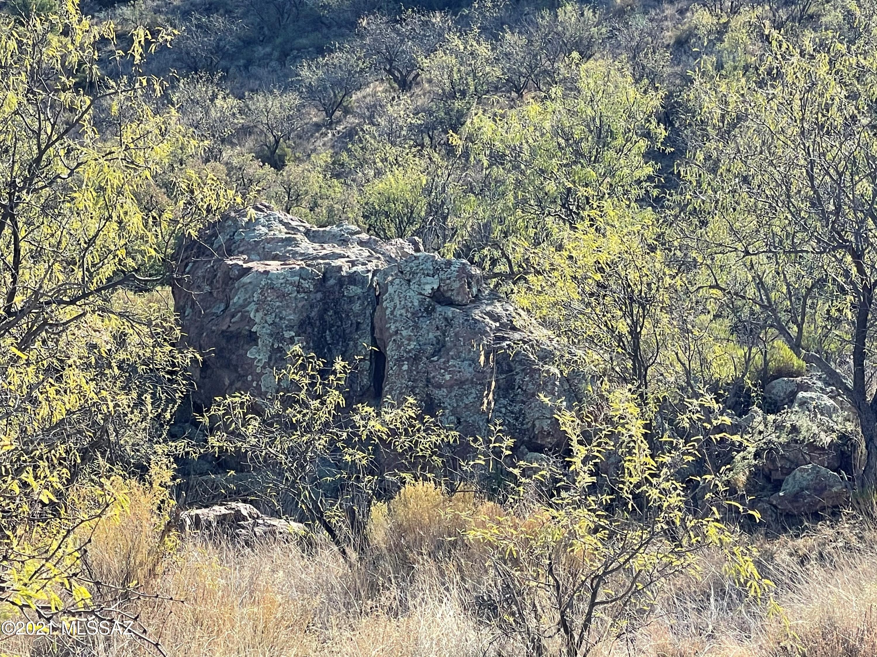 Tbd Morning Star Drive, Unit 62 Rio Rico, AZ 85648 - Photo 5 of 23
