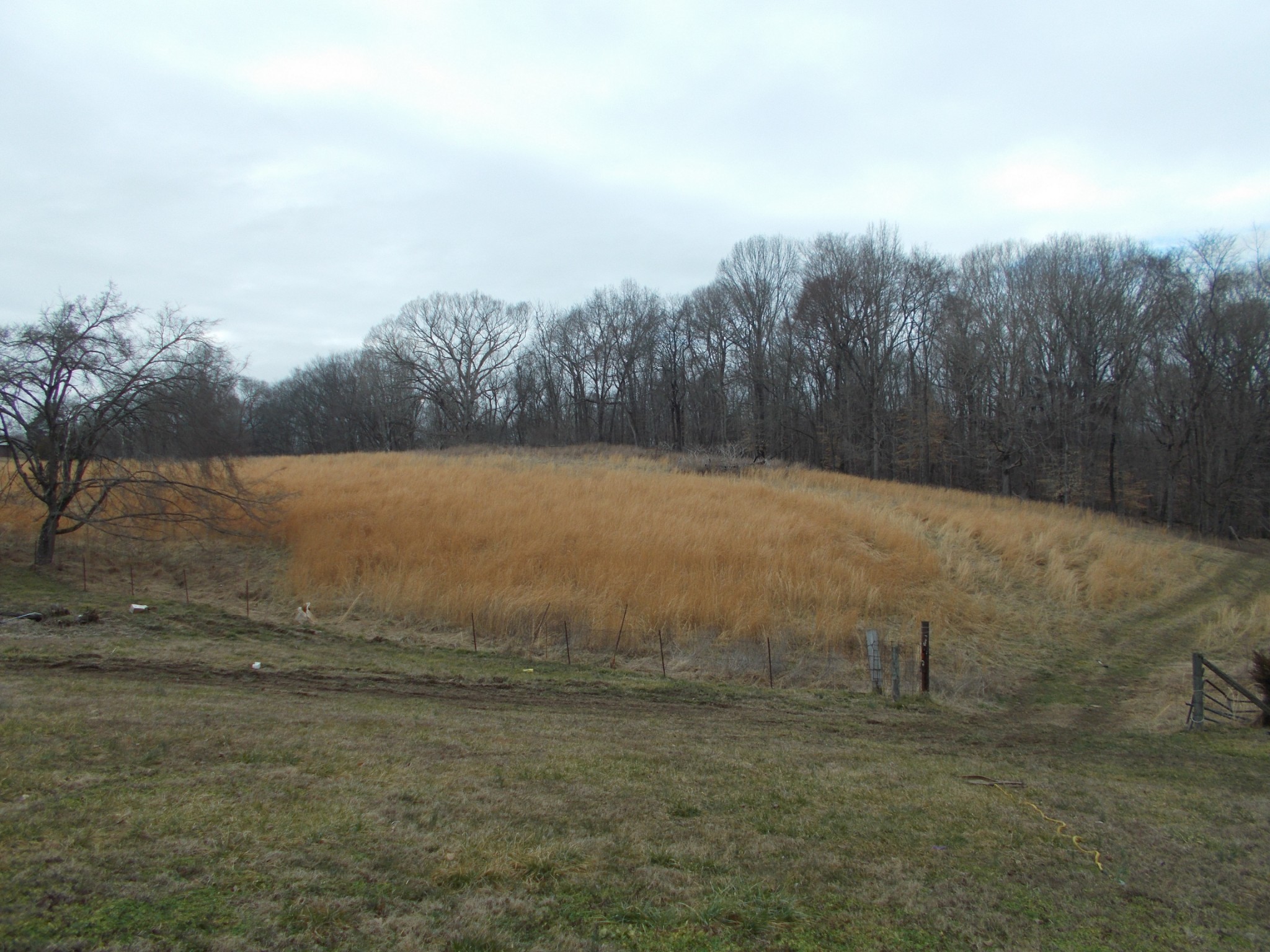 1077 Jim Read Road Chapmansboro, TN 37035 - Photo 11 of 12 Gallery Image 11