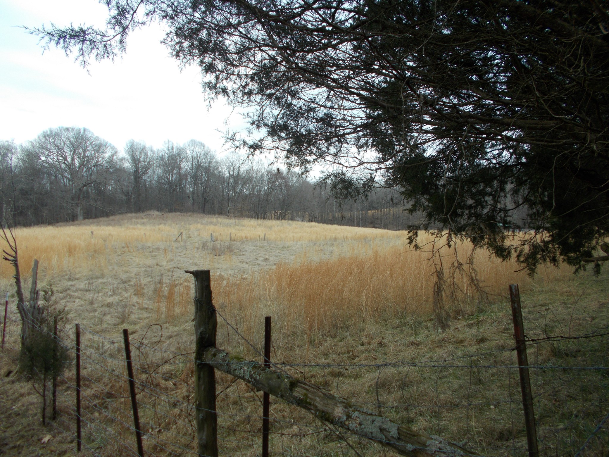 1077 Jim Read Road Chapmansboro, TN 37035 - Photo 12 of 12 Gallery Image 12