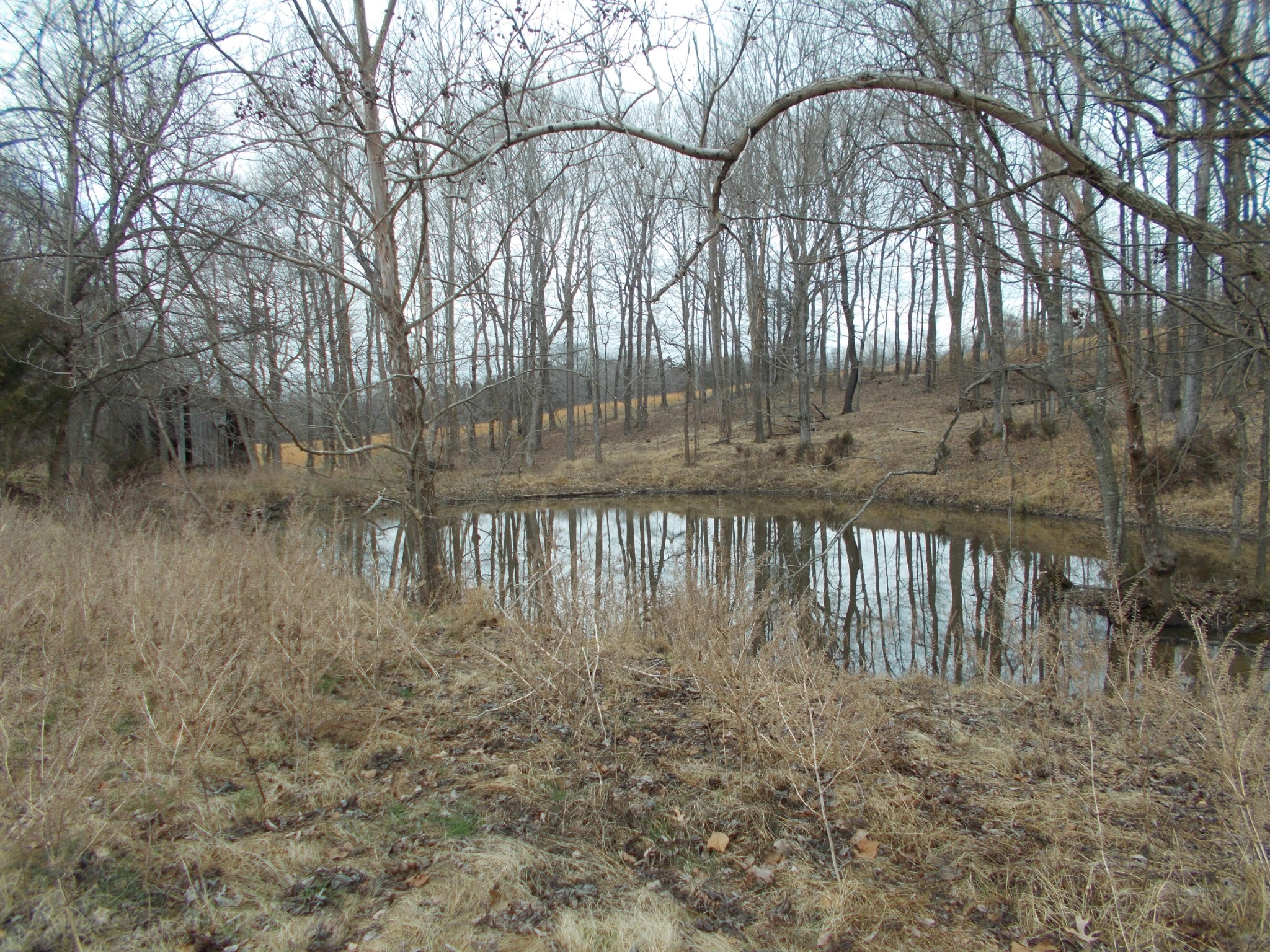 1077 Jim Read Road Chapmansboro, TN 37035 - Photo 3 of 12 Gallery Image 3