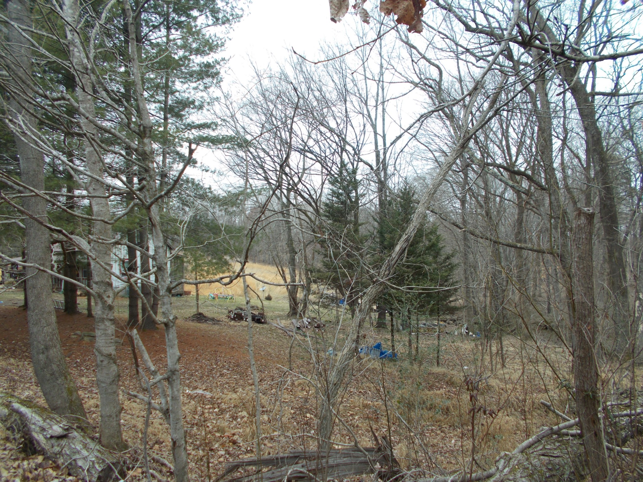 1077 Jim Read Road Chapmansboro, TN 37035 - Photo 8 of 12 Gallery Image 8