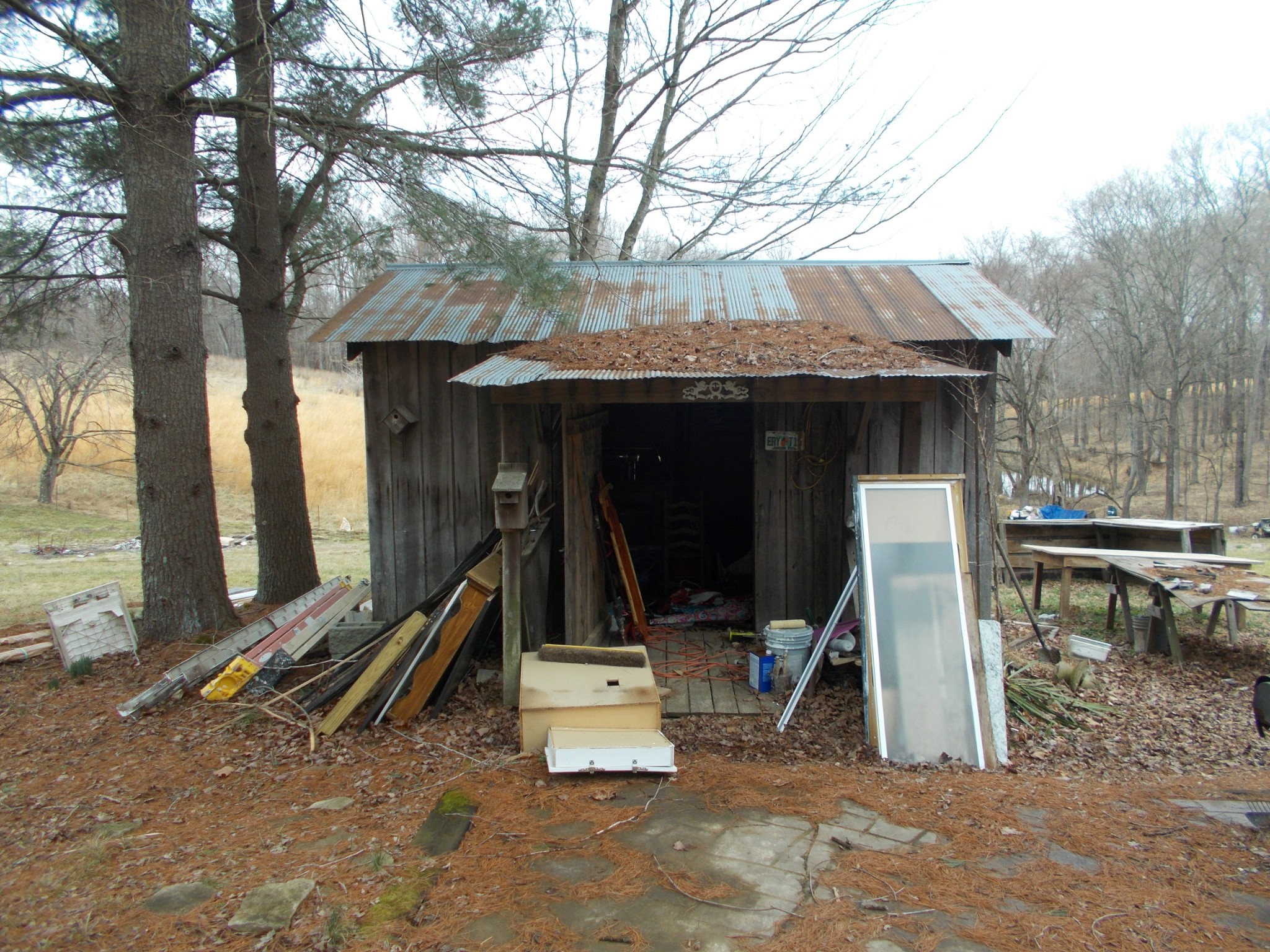 1077 Jim Read Road Chapmansboro, TN 37035 - Photo 10 of 12 Gallery Image 10