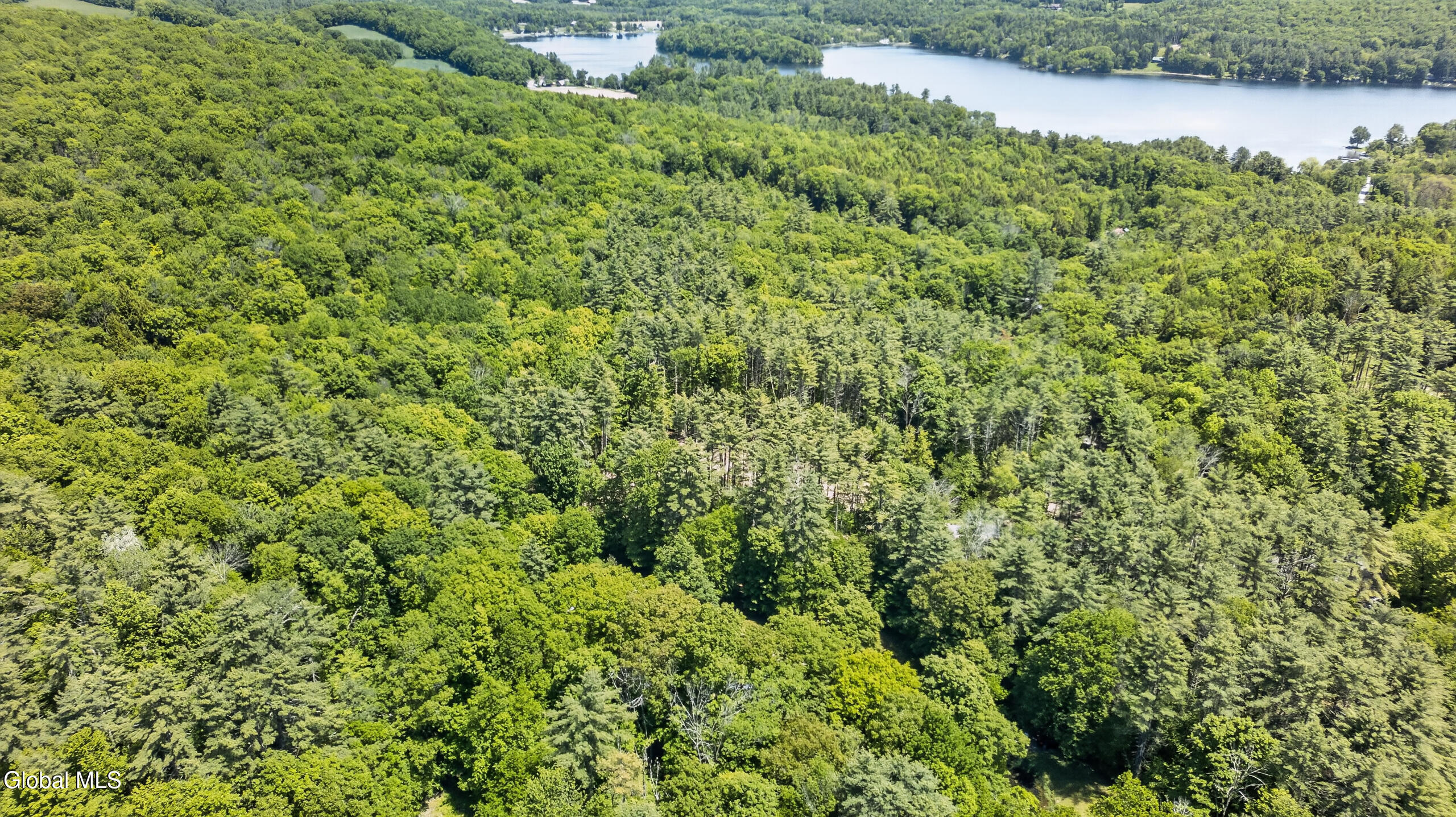 117 Kilmer Road Argyle, NY 12809 - Photo 44 of 50 Air Yard 2