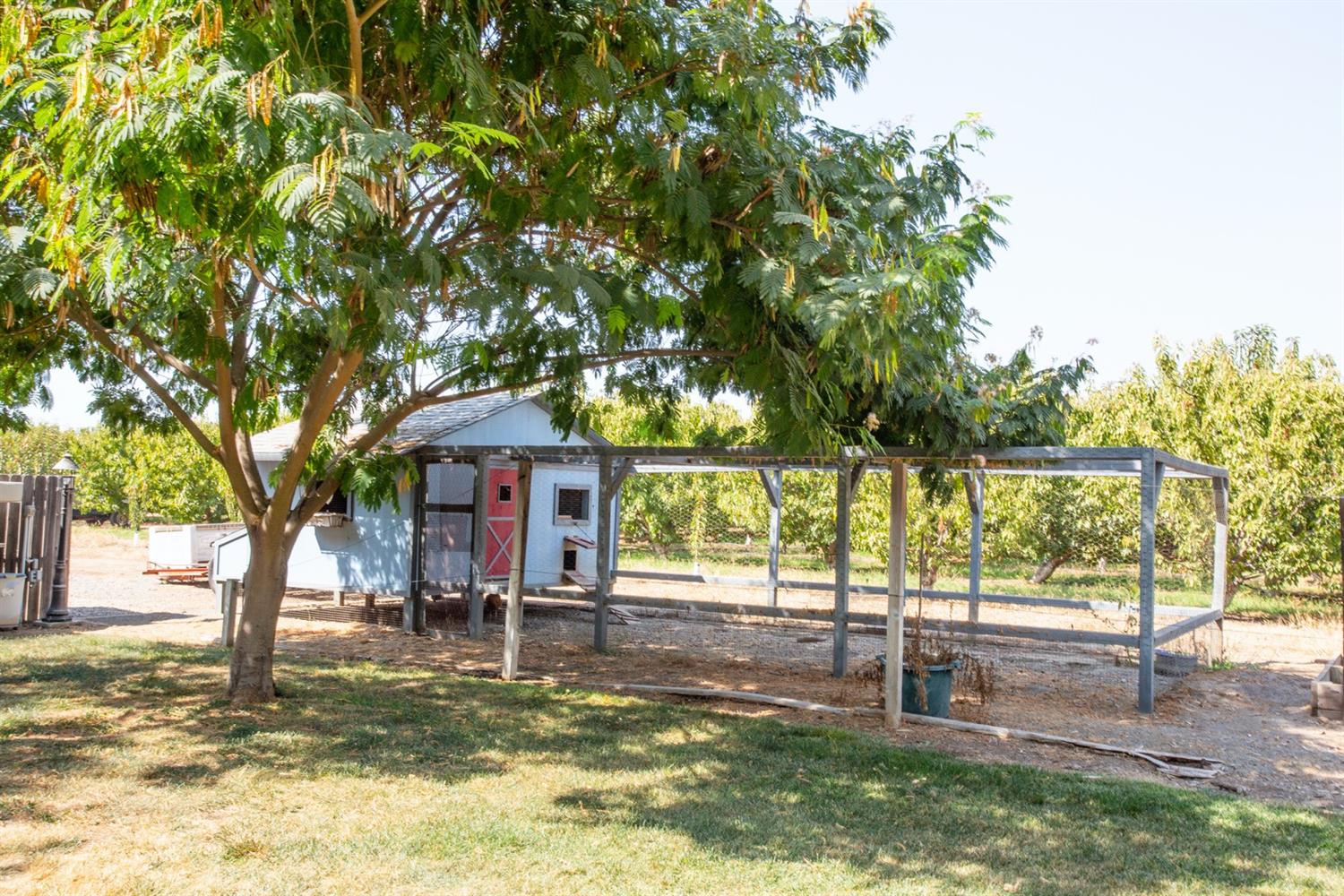 1438 North Del Rey Avenue Sanger, CA 93657 - Photo 14 of 33 Gallery Image 14