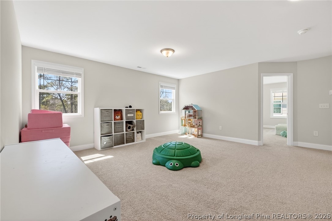 4259 Dock View Road Fayetteville, NC 28306 - Photo 30 of 50