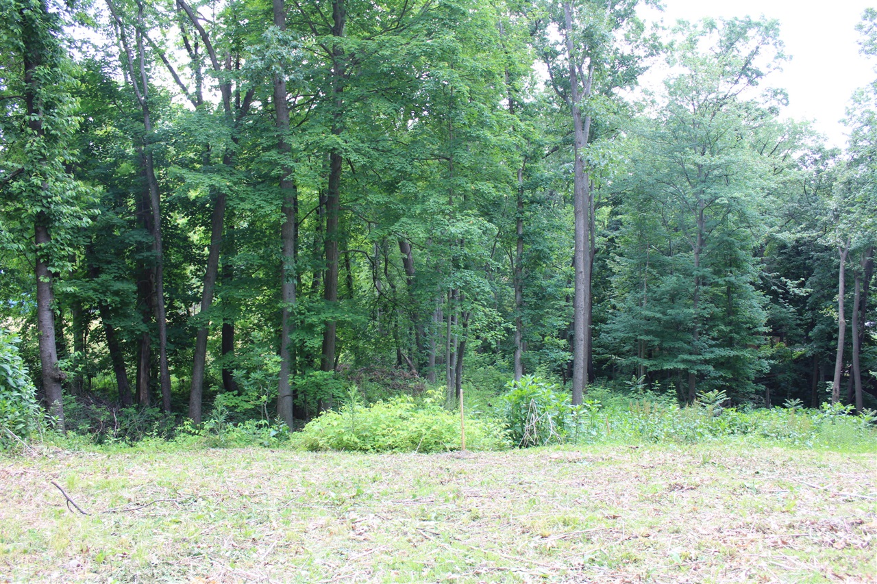 357 East North Street Portland, MI 48875 - Photo 15 of 32
