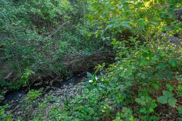 $424,900 | 3622 Ginny Court, Redding, CA 96001