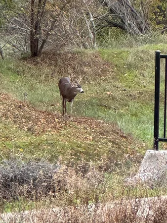 $424,900 | 3622 Ginny Court, Redding, CA 96001