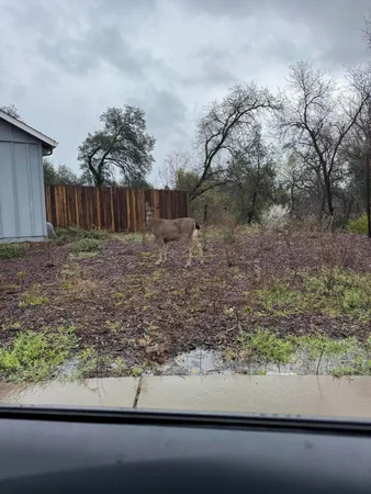 $424,900 | 3622 Ginny Court, Redding, CA 96001