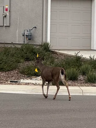 $424,900 | 3622 Ginny Court, Redding, CA 96001