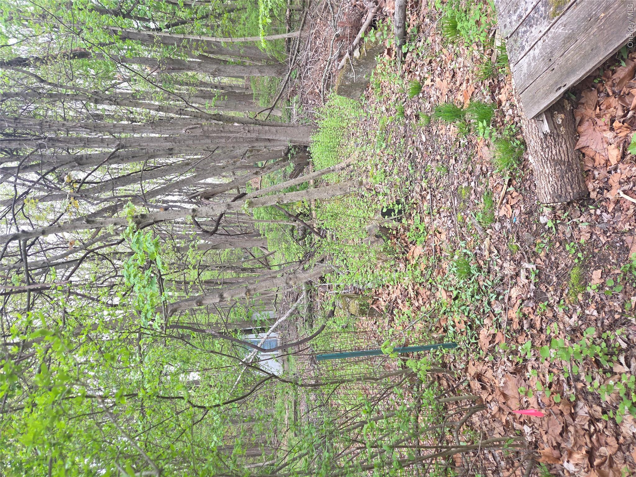 11 Eagle Valley Road, Unit 7 Sloatsburg, NY 10974 - Photo 24 of 24 a backyard of a house with lots of green space
