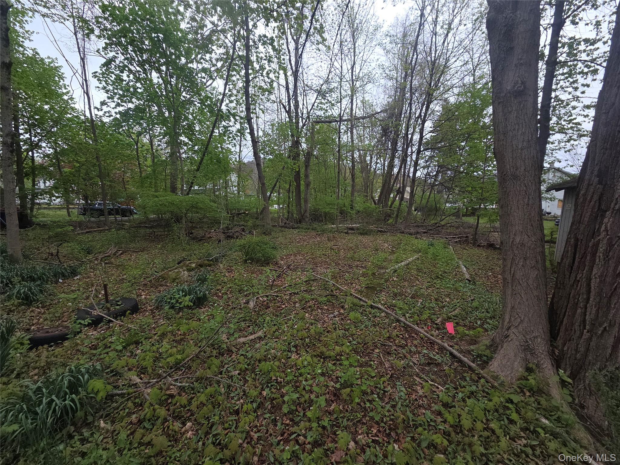 11 Eagle Valley Road, Unit 7 Sloatsburg, NY 10974 - Photo 4 of 24 a view of a forest with trees