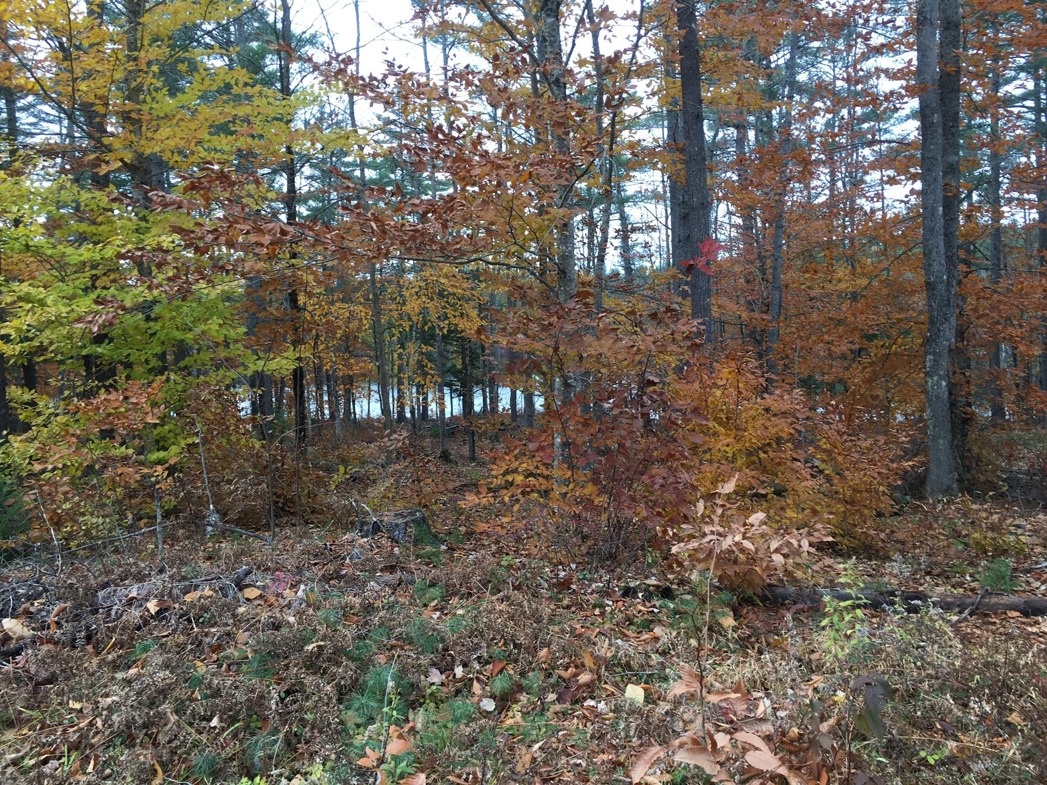 15-acres Convene Road Sebago, ME 04029 - Photo 7 of 12 B8FD5AD7-0775-4CE6-882D-03BC5A8030F1