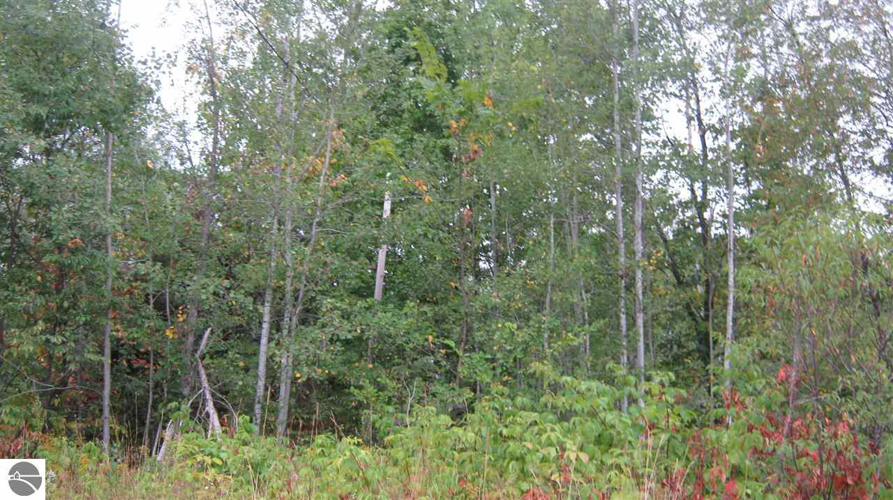 8309 North White Road Grayling, MI 49738 - Photo 17 of 20 1775593-16.JPG
