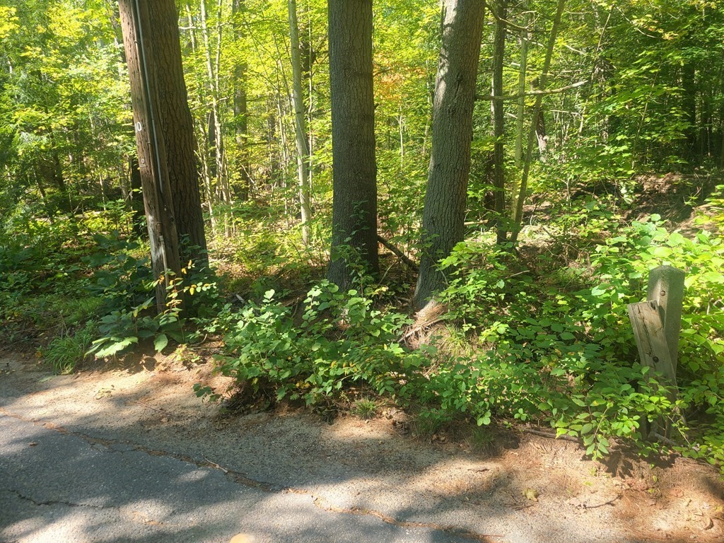 0 Chase Road Orange, MA 01364 - Photo 2 of 3 Gallery Image 2