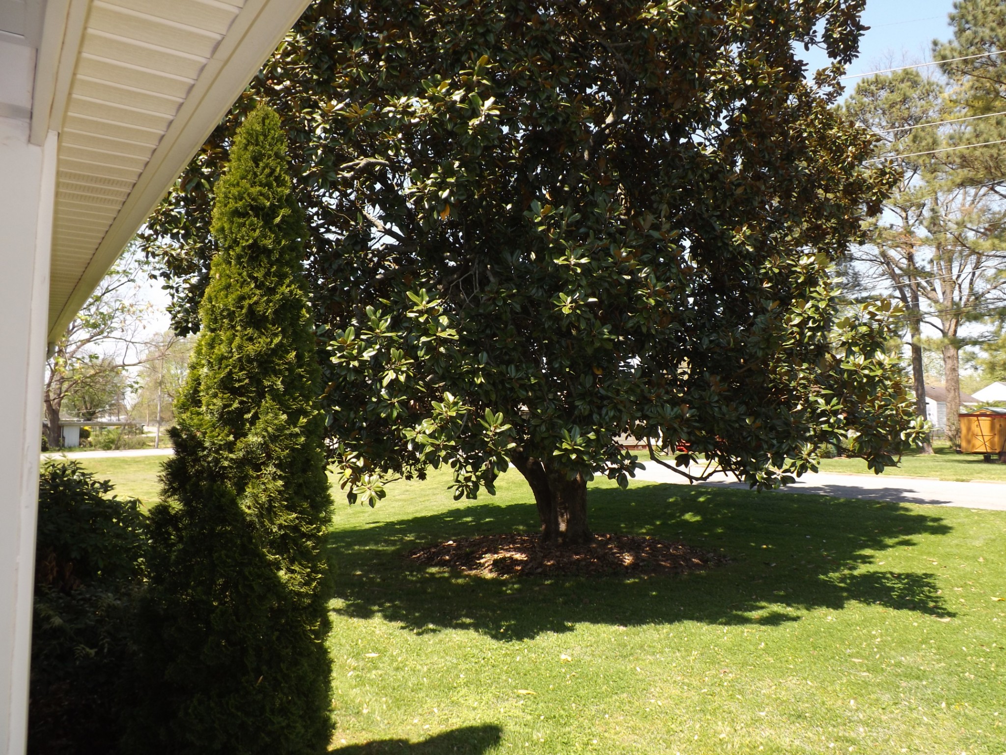 559 Magazine Road Pulaski, TN 38478 - Photo 45 of 50 Gallery Image 45