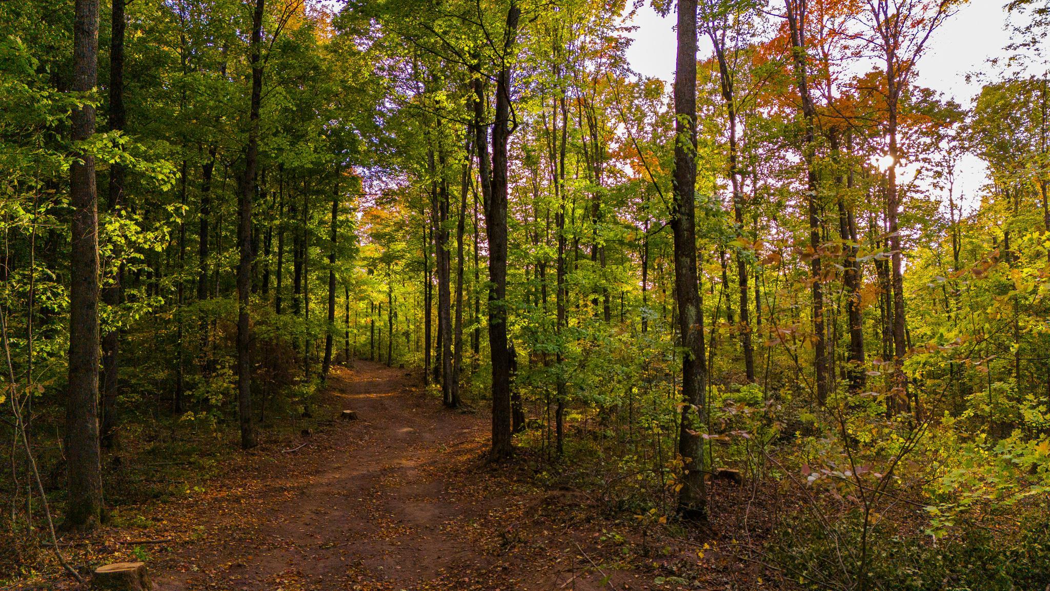 Tower Road, Unit 4 Crandon, WI 54520 - Photo 20 of 23