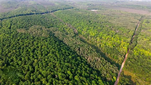 $59,000 | Tower Road, Unit 4, Crandon, WI 54520