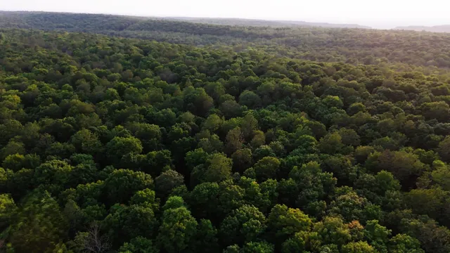 $59,000 | Tower Road, Unit 4, Crandon, WI 54520