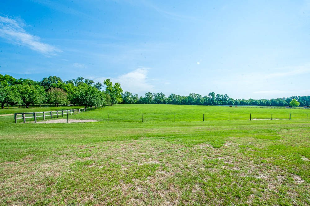 181 McVey Road Aiken, SC 29803 - Photo 6 of 30