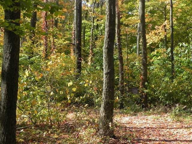 5892 Gale Road Southwest Pataskala, OH 43062 - Photo 7 of 19