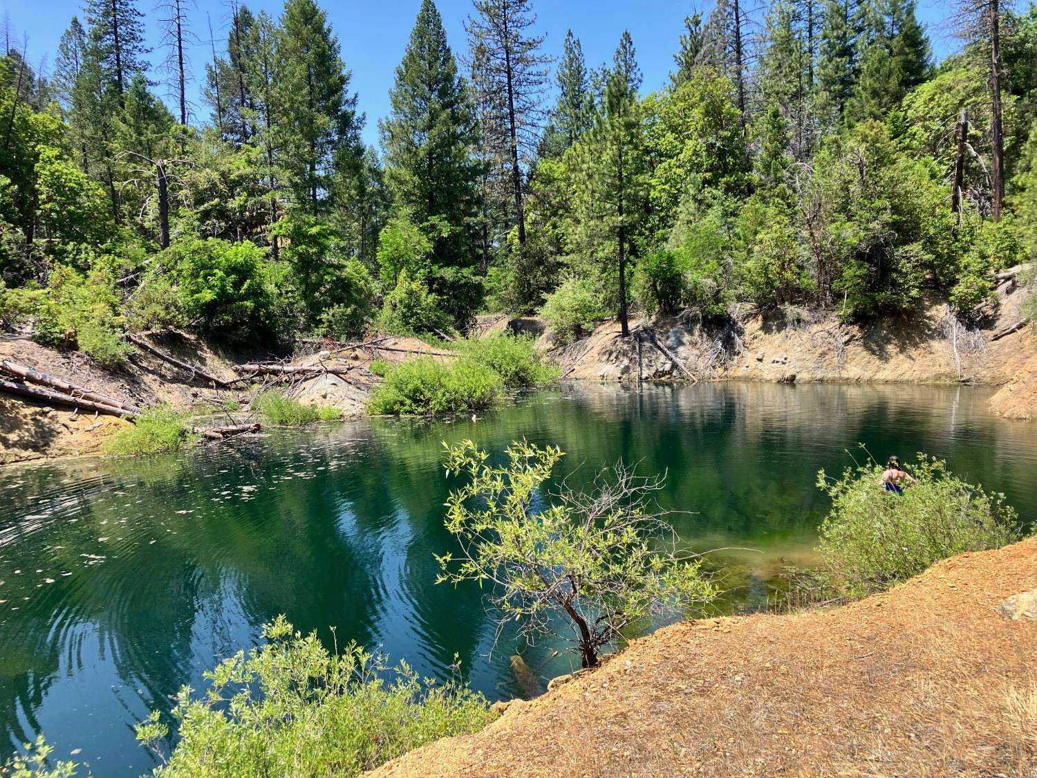 a view of a lake view with a garden