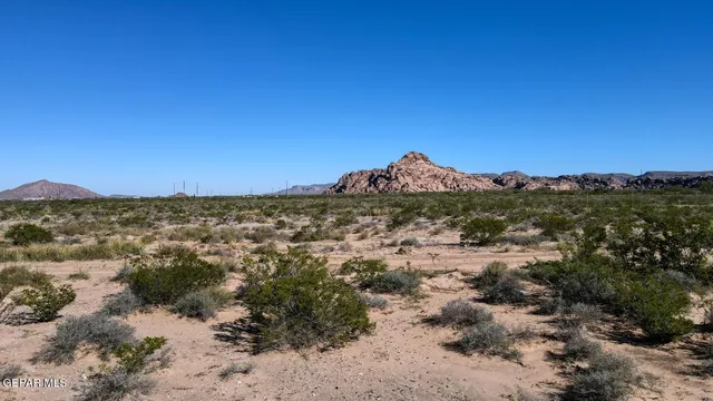 a view of a large building with a mountain in the background