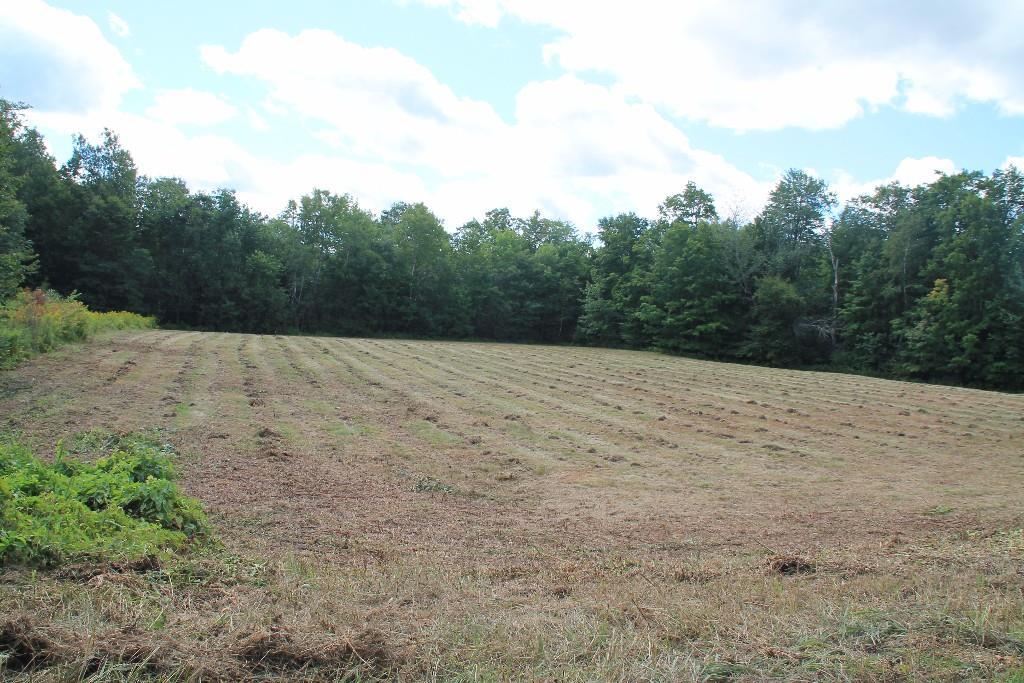 Lot 20 Lot Road Swanville, ME 04915 - Photo 9 of 10 View across field