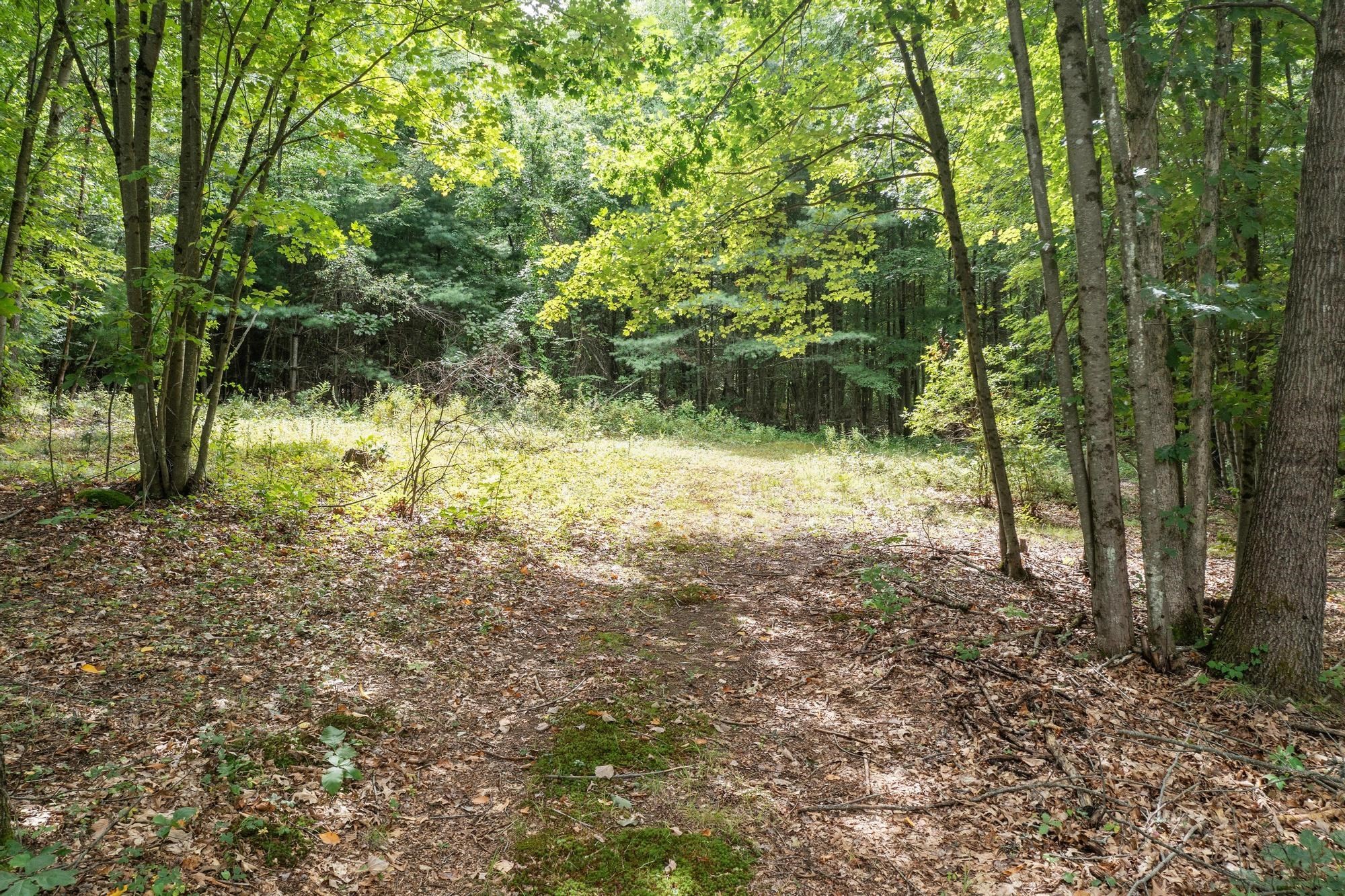 276 Middle Road Boxborough, MA 01719 - Photo 7 of 12 Gallery Image 7
