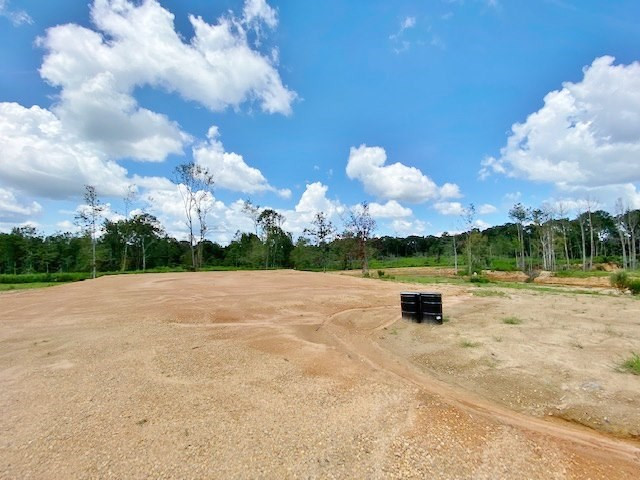 3058 Tanglewood Road Magnolia, MS 39652 - Photo 19 of 47 Photo 19