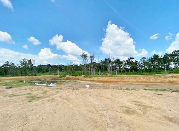3058 Tanglewood Road Magnolia, MS 39652 - Photo 20 of 47 Photo 20