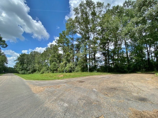 3058 Tanglewood Road Magnolia, MS 39652 - Photo 2 of 47 Photo 2