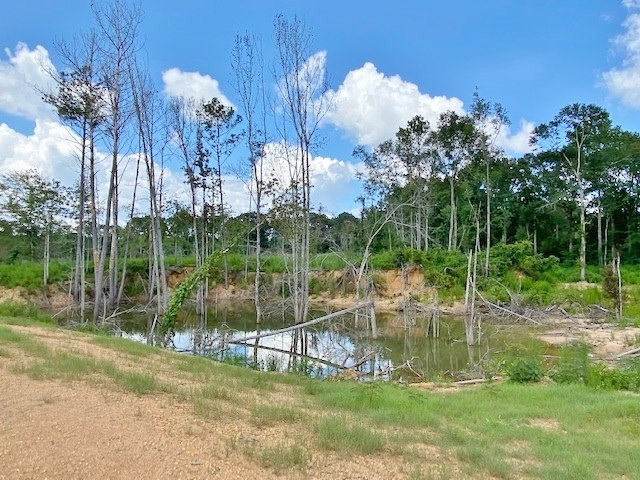 3058 Tanglewood Road Magnolia, MS 39652 - Photo 21 of 47 Photo 21