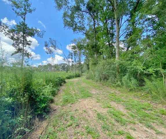 3058 Tanglewood Road Magnolia, MS 39652 - Photo 24 of 47 Photo 24