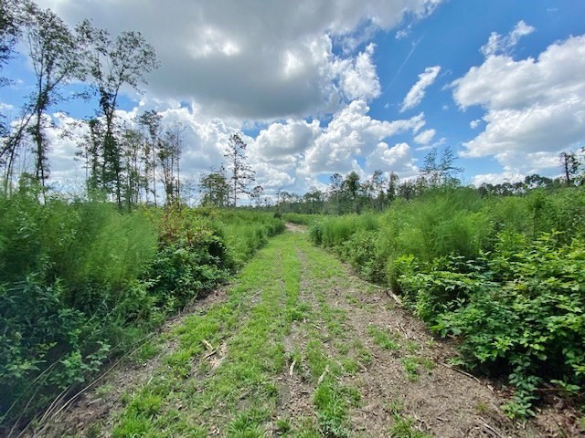 3058 Tanglewood Road Magnolia, MS 39652 - Photo 25 of 47 Photo 25
