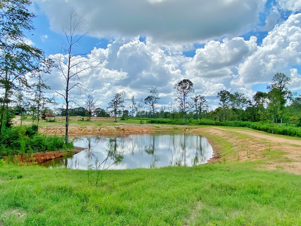 3058 Tanglewood Road Magnolia, MS 39652 - Photo 26 of 47 Photo 26