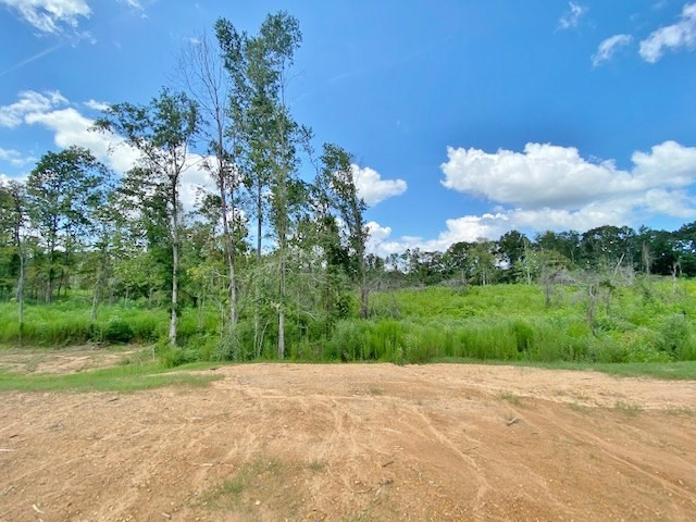 3058 Tanglewood Road Magnolia, MS 39652 - Photo 29 of 47 Photo 29