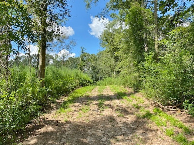 3058 Tanglewood Road Magnolia, MS 39652 - Photo 30 of 47 Photo 30