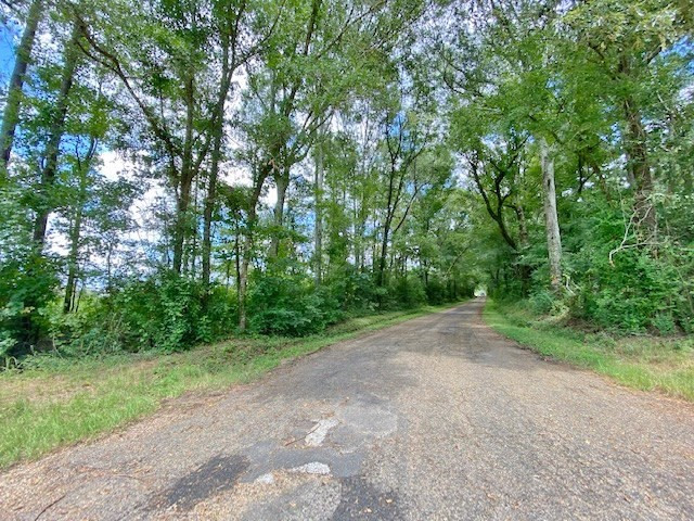 3058 Tanglewood Road Magnolia, MS 39652 - Photo 3 of 47 Photo 3