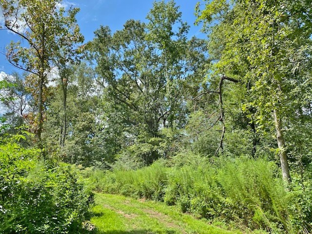3058 Tanglewood Road Magnolia, MS 39652 - Photo 31 of 47 Photo 31