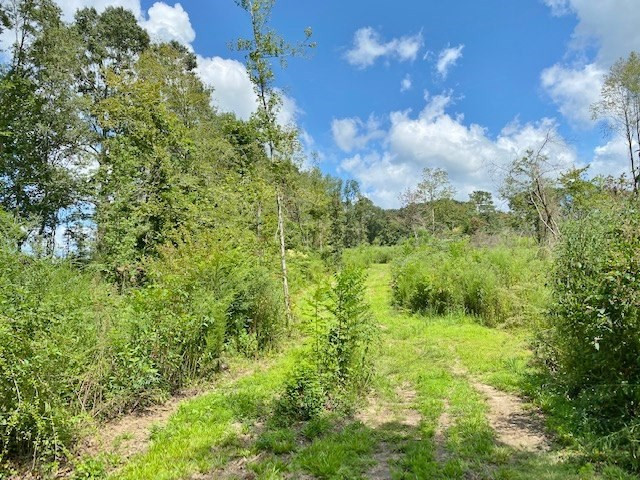 3058 Tanglewood Road Magnolia, MS 39652 - Photo 32 of 47 Photo 32