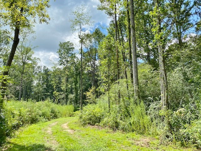 3058 Tanglewood Road Magnolia, MS 39652 - Photo 34 of 47 Photo 34