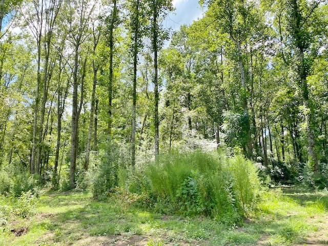 3058 Tanglewood Road Magnolia, MS 39652 - Photo 35 of 47 Photo 35