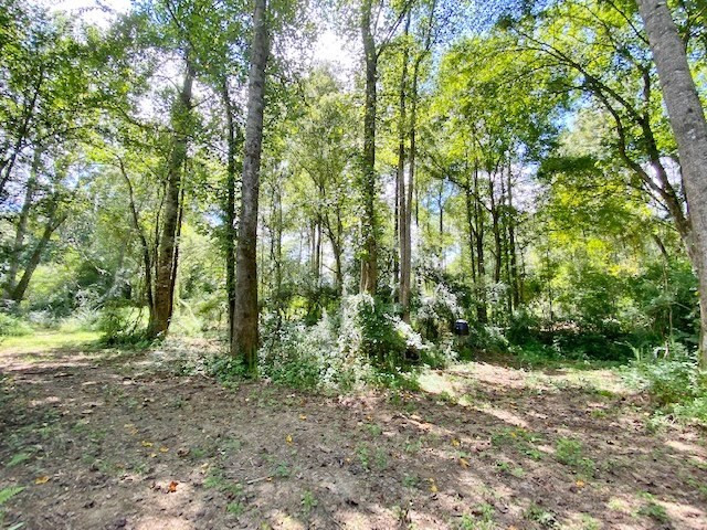 3058 Tanglewood Road Magnolia, MS 39652 - Photo 36 of 47 Photo 36