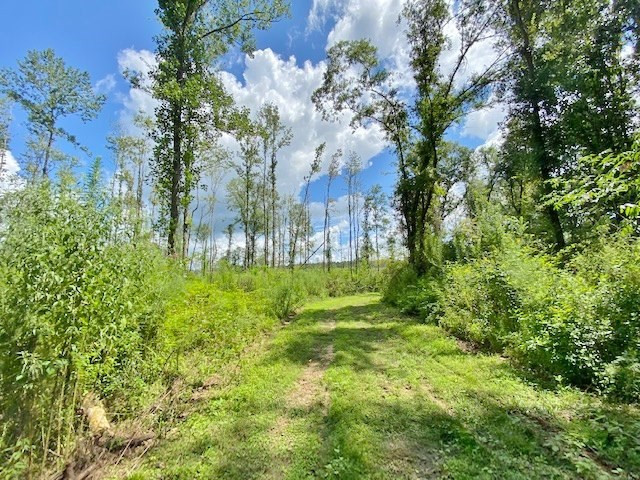 3058 Tanglewood Road Magnolia, MS 39652 - Photo 38 of 47 Photo 38