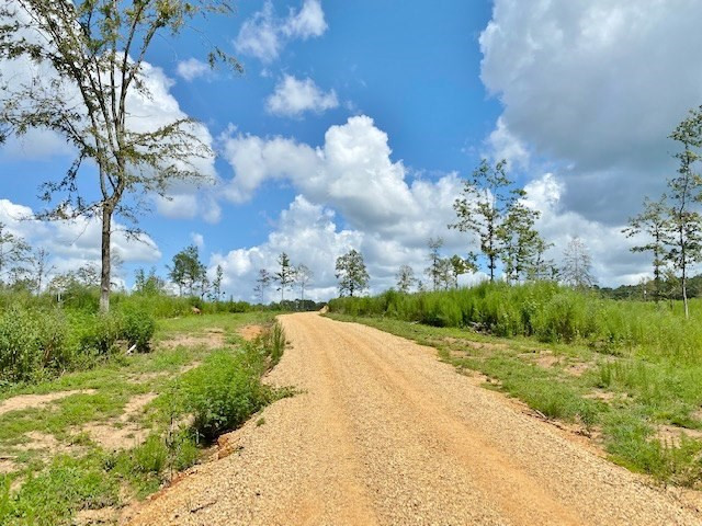 3058 Tanglewood Road Magnolia, MS 39652 - Photo 39 of 47 Photo 39