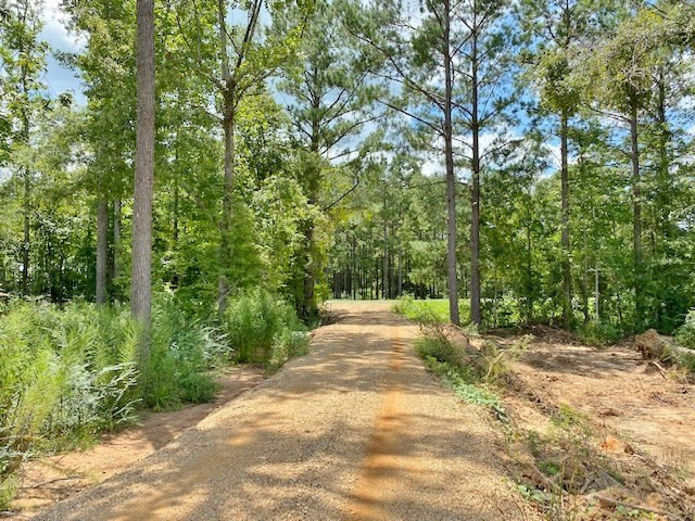 3058 Tanglewood Road Magnolia, MS 39652 - Photo 40 of 47 Photo 40